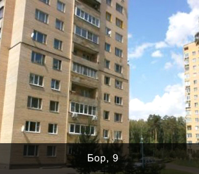 д. Одинцово, владение Бор, дом 9